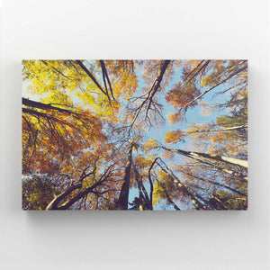 Golden Woods Tree Art | MusaArtGallery™