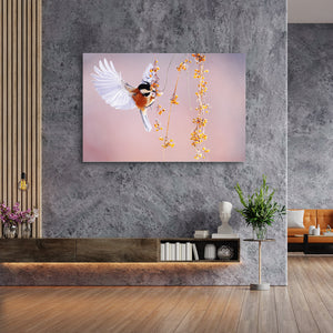 Goldfinch Bird Wall Art | MusaArtGallery™