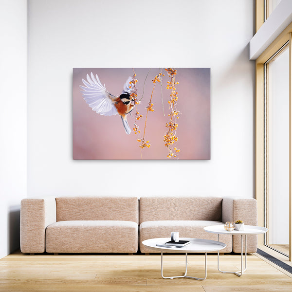 Goldfinch Bird Wall Art | MusaArtGallery™