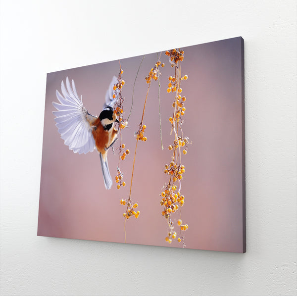 Goldfinch Bird Wall Art | MusaArtGallery™