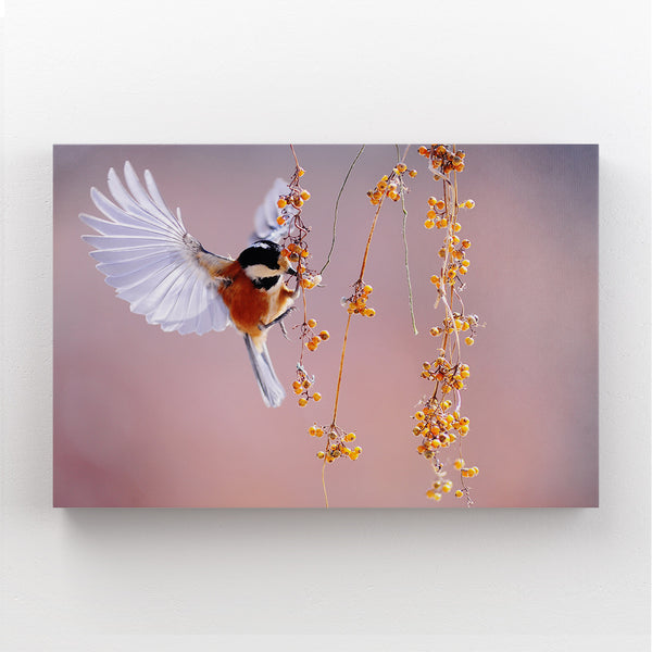 Goldfinch Bird Wall Art | MusaArtGallery™