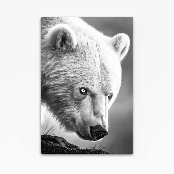 Gray Bear Wall Art