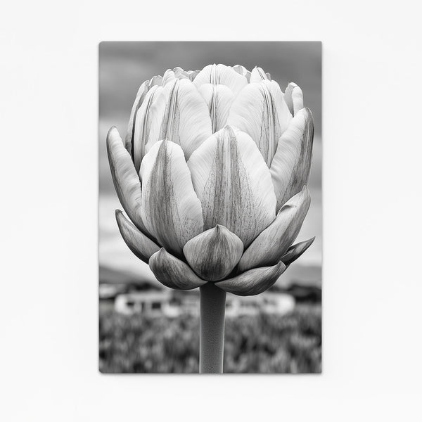 Gray Flower Wall Art