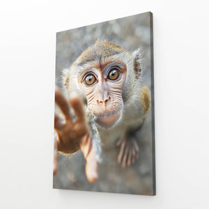Gray Monkey Art