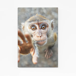 Gray Monkey Art