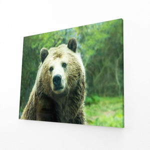 Green Bear Wall Art