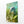 Green Dolphin Art