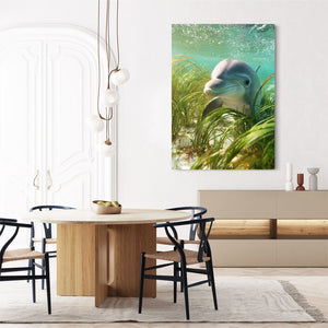 Green Dolphin Art