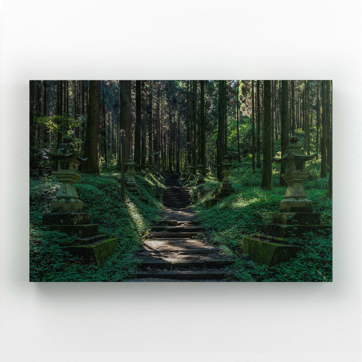 Green Nature Wall Art| MusaArtGallery™