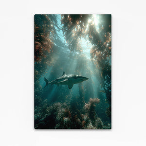 Grenn Shark Canvas