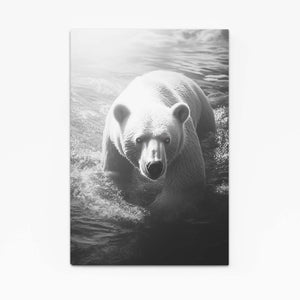 Grey Bear Print