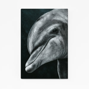 Grey Dolphin Canvas