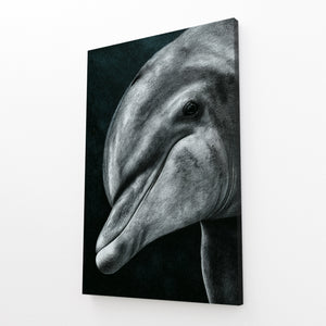 Grey Dolphin Canvas