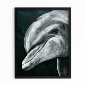 Grey Dolphin Canvas