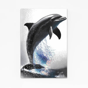 Grey Dolphin Wall Art