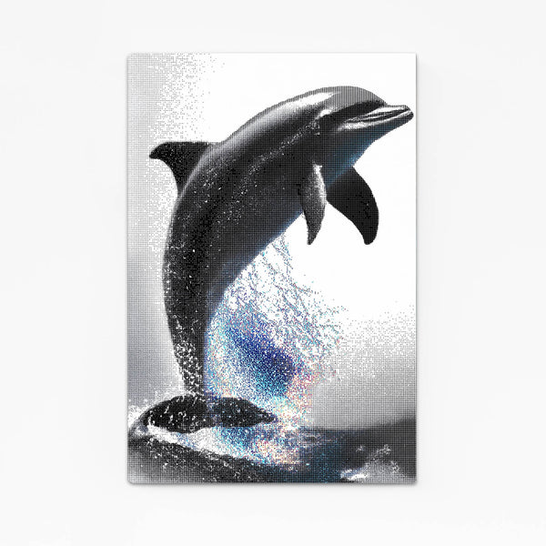 Grey Dolphin Wall Art