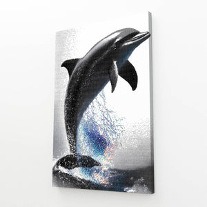 Grey Dolphin Wall Art