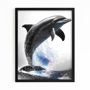 Grey Dolphin Wall Art