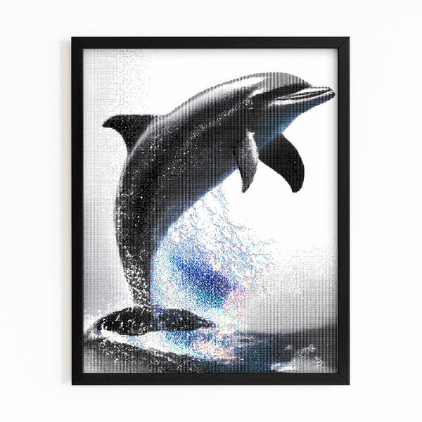 Grey Dolphin Wall Art
