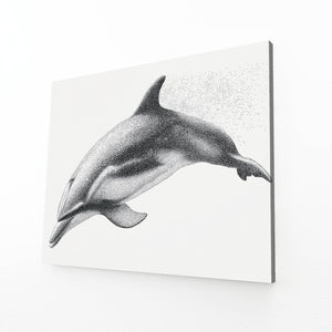 Grey Dolphin Wall Decor