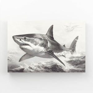 Grey Shark Wall Art