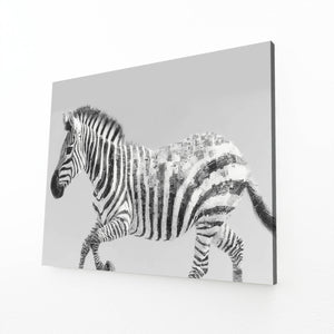 Grey Zebra Art