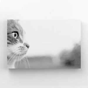 Greyscale Cat Wall Art | MusaArtGallery™