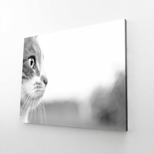 Greyscale Cat Wall Art | MusaArtGallery™