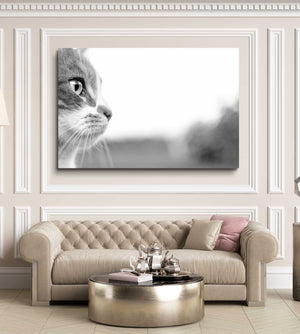 Greyscale Cat Wall Art | MusaArtGallery™