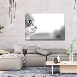 Greyscale Cat Wall Art | MusaArtGallery™