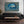 Horizontal Dolphin Canvas