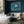 Horizontal Dolphin Canvas