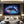 Horizontal Dolphin Wall Art