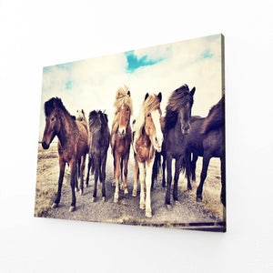 Horse Art Activity