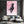 Horse Cherry Blossom Wall Art