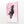 Horse Cherry Blossom Wall Art