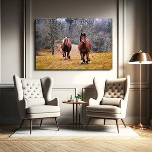 Horse Wall Art Natural Colours | MusaArtGallery™