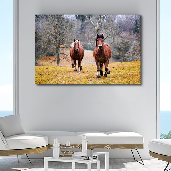 Horse Wall Art Natural Colours | MusaArtGallery™
