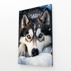 Husky Dog Art