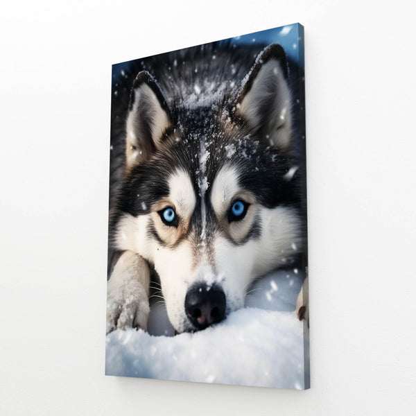 Husky Dog Art