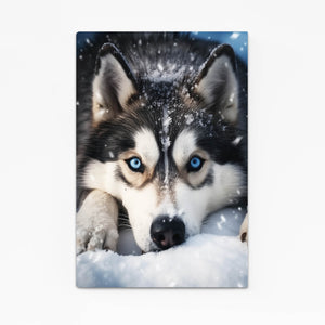 Husky Dog Art