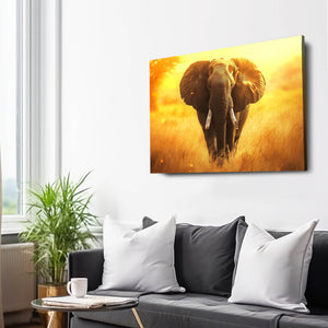 Indian Elephant Art | MusaArtGallery™