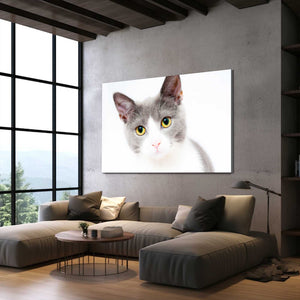 Innocent Cat Wall Art | MusaArtGallery™