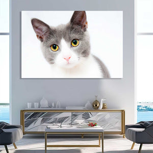 Innocent Cat Wall Art | MusaArtGallery™