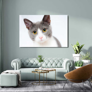 Innocent Cat Wall Art | MusaArtGallery™