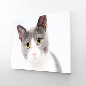 Innocent Cat Wall Art | MusaArtGallery™