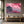 Japanese Cherry Blossom Castle Wall Art