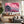 Japanese Cherry Blossom Castle Wall Art