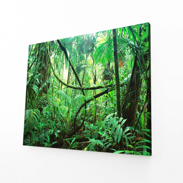 Jungle Symphony Tree Art | MusaArtGallery™