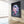 Kid Room Dolphin Art